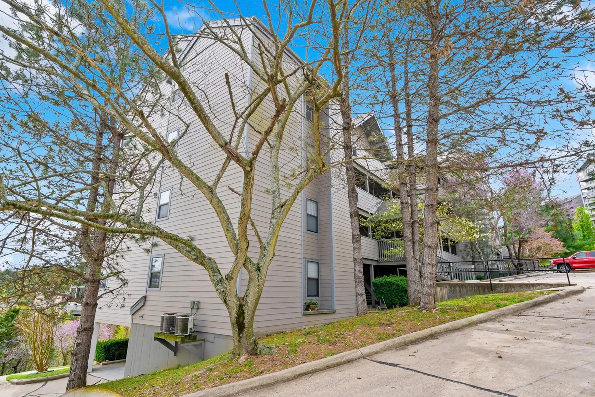 A tranquil exterior shot featuring tree branches framing a building facade and driveway, set amid natural greenery. The scene suggests a peaceful and welcoming home base, perfectly contrasting with the bustling energy of the entertainment venues.